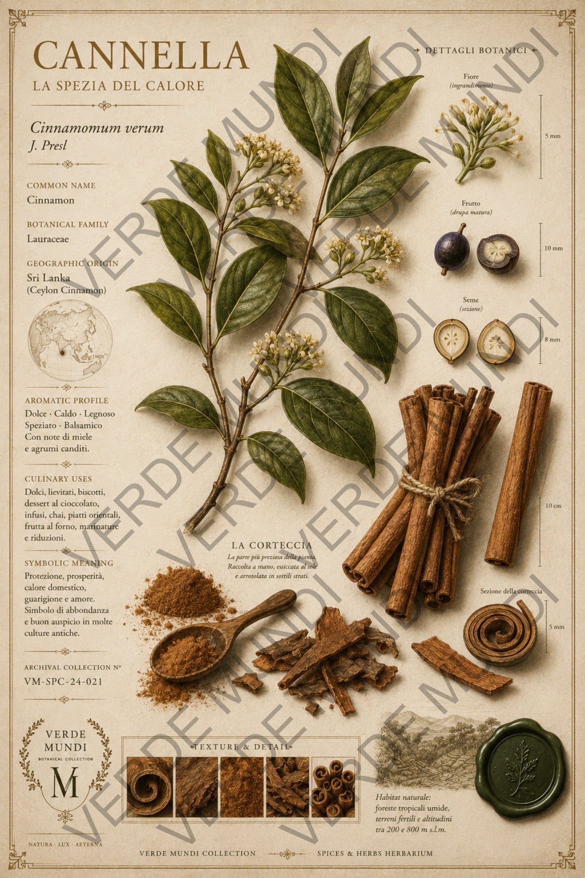 "Cannella-Raccolta Aromatica"