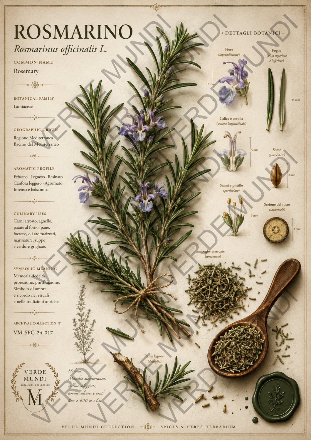 "Rosmarino - Raccolta Aromatica"