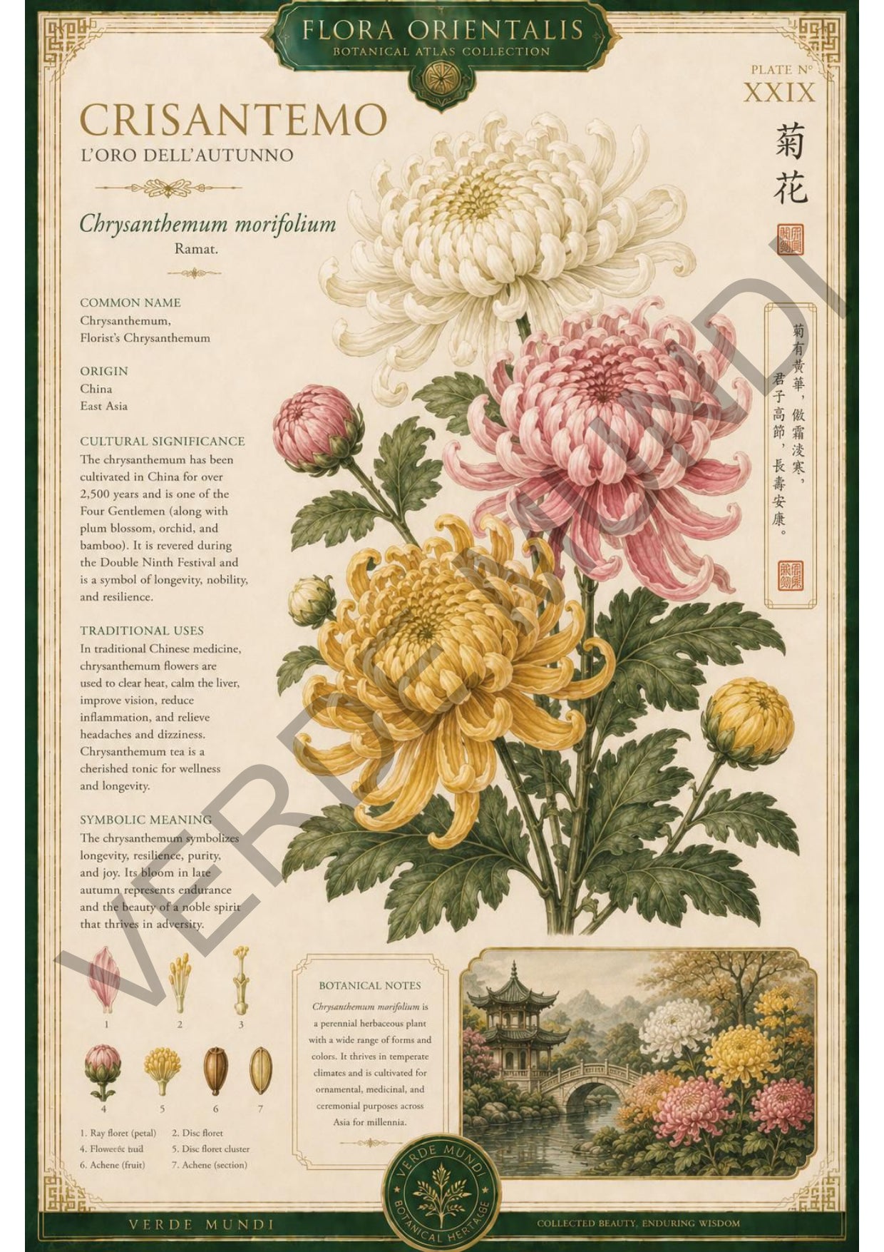 Collezione "Flora orientale"