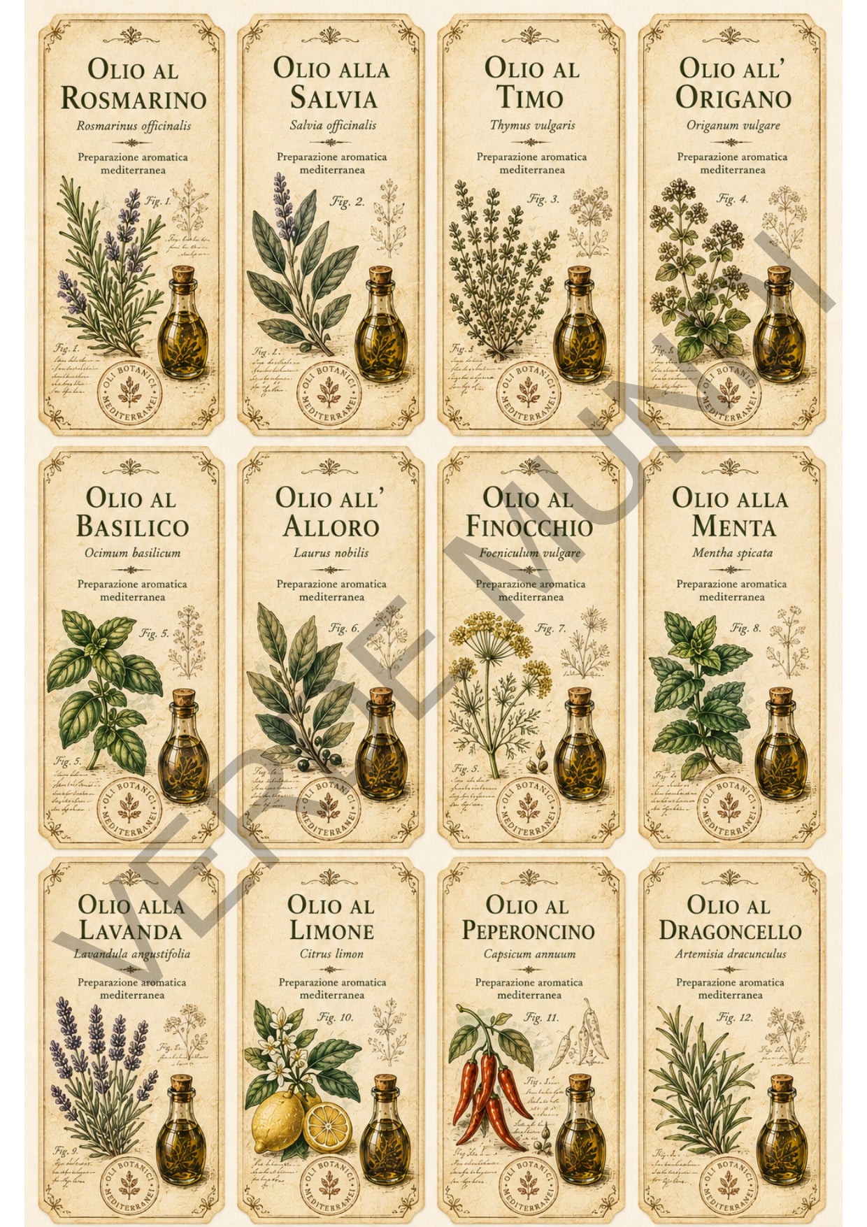 "Raccolta oli botanici mediterranei" vol.1
