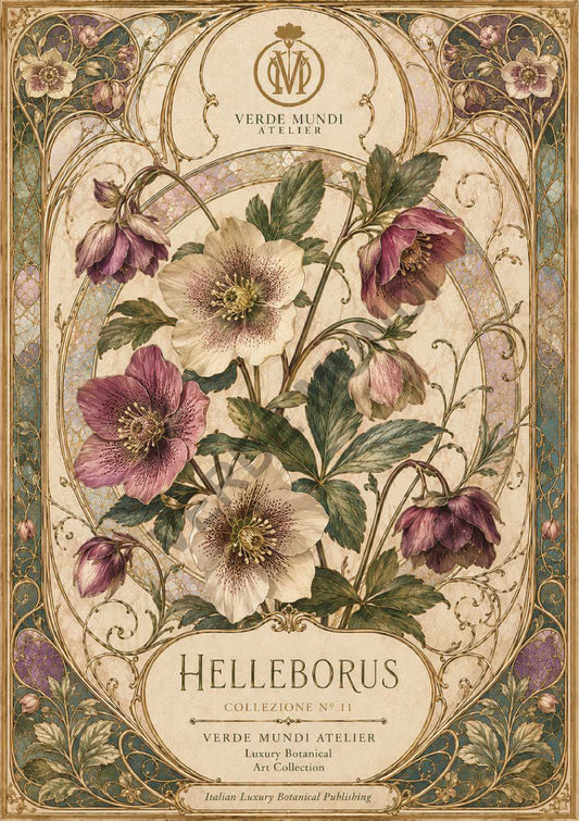 Helleborus – Botanical Nouveau
