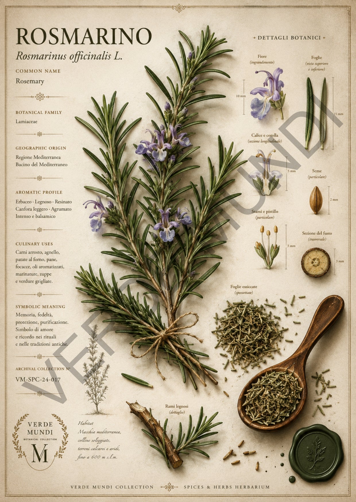 Raccolta "Aromatica vol. 1"