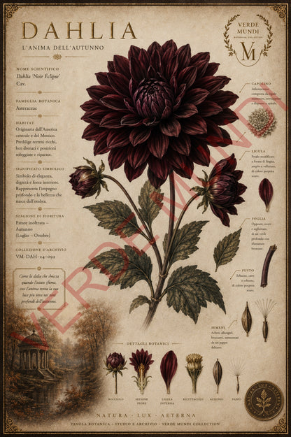 Collezione  "Le quattro stagioni - l'Autunno"