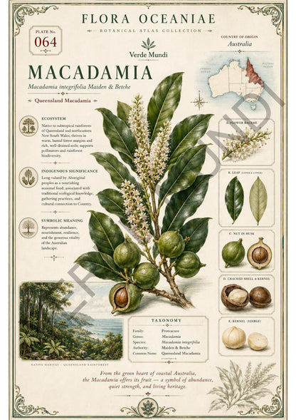 Collezione "Flora Oceanica"