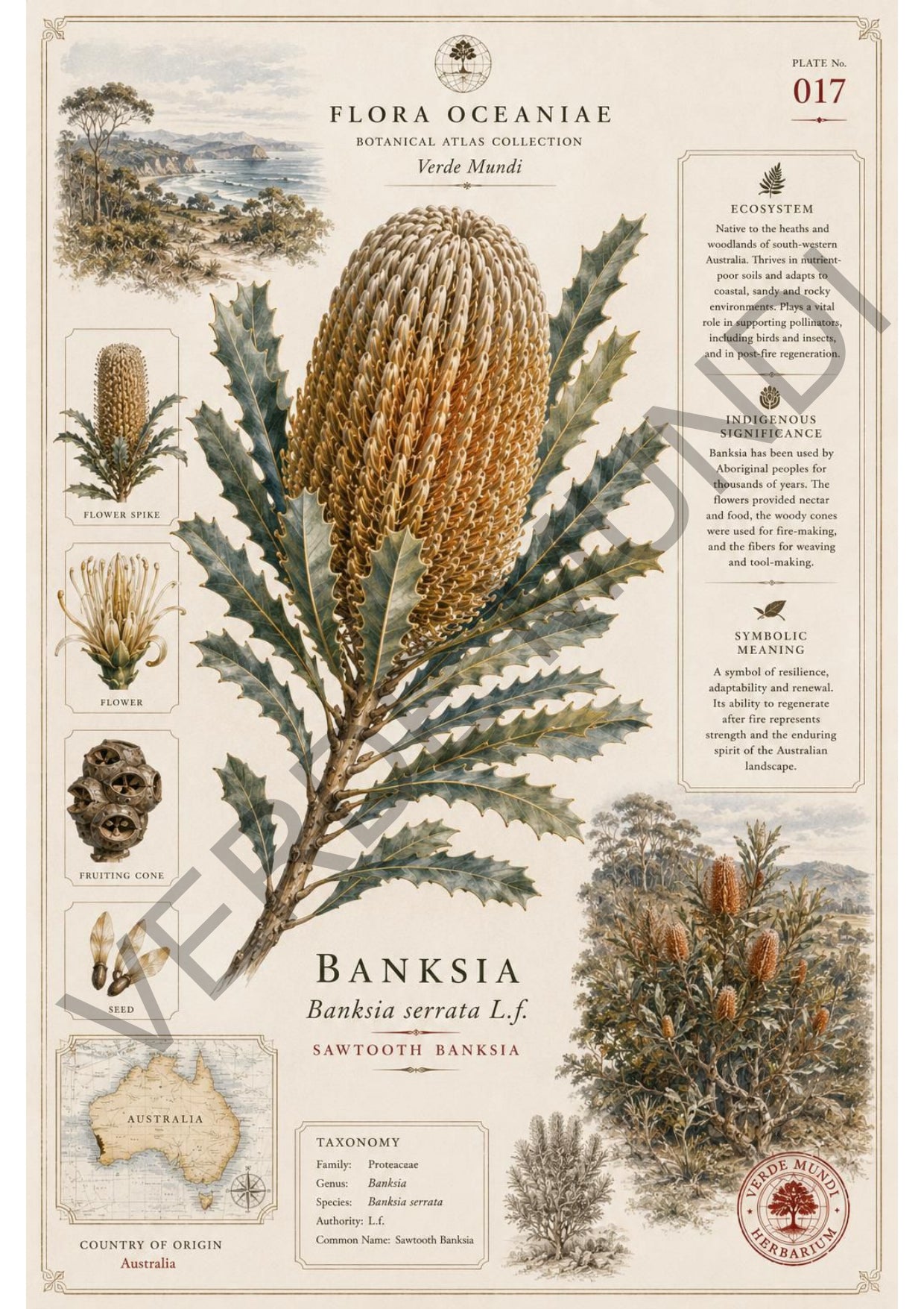 Collezione "Flora Oceanica"