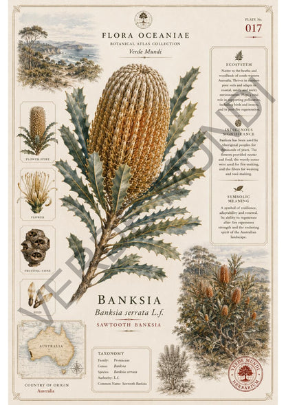 Collezione "Flora Oceanica"