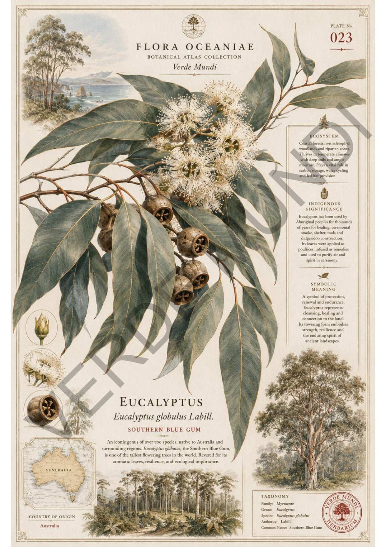Collezione "Flora Oceanica"