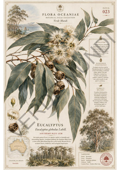 Collezione "Flora Oceanica"