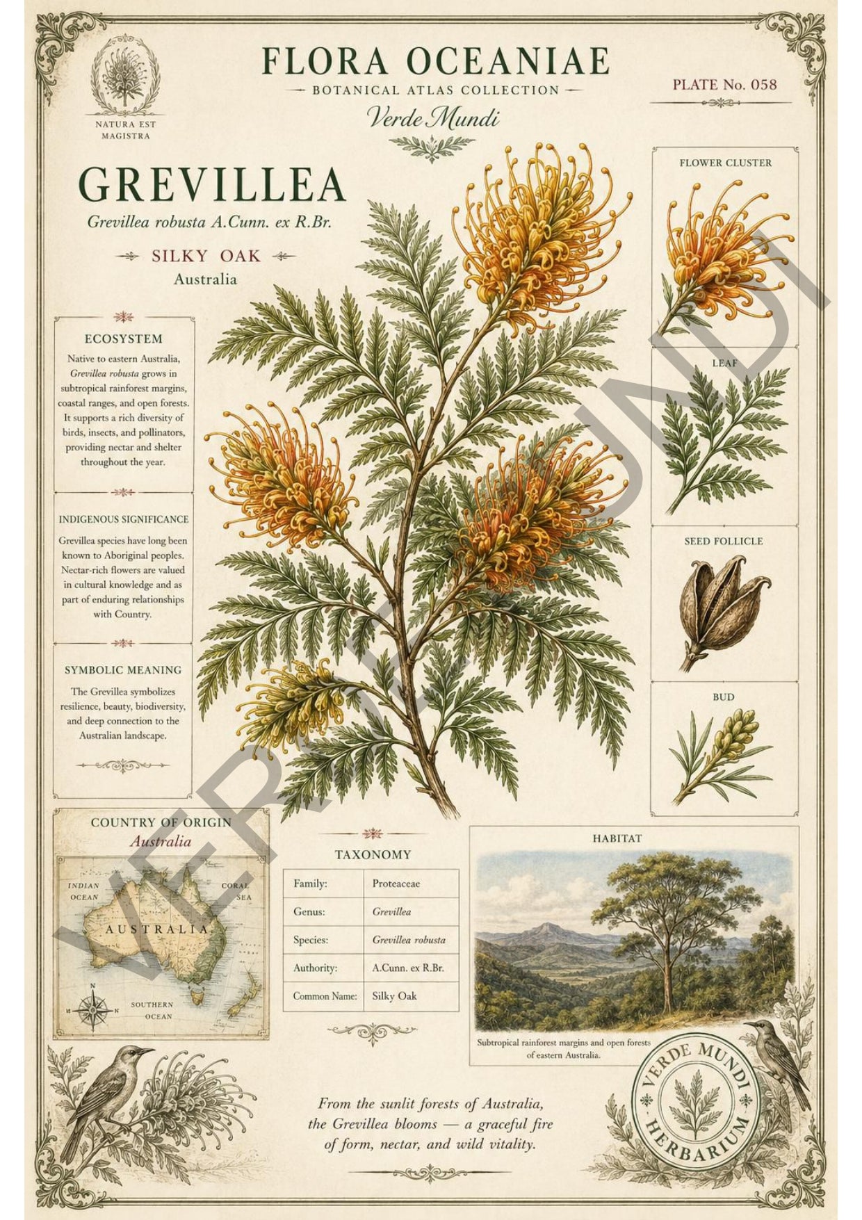 Collezione "Flora Oceanica"