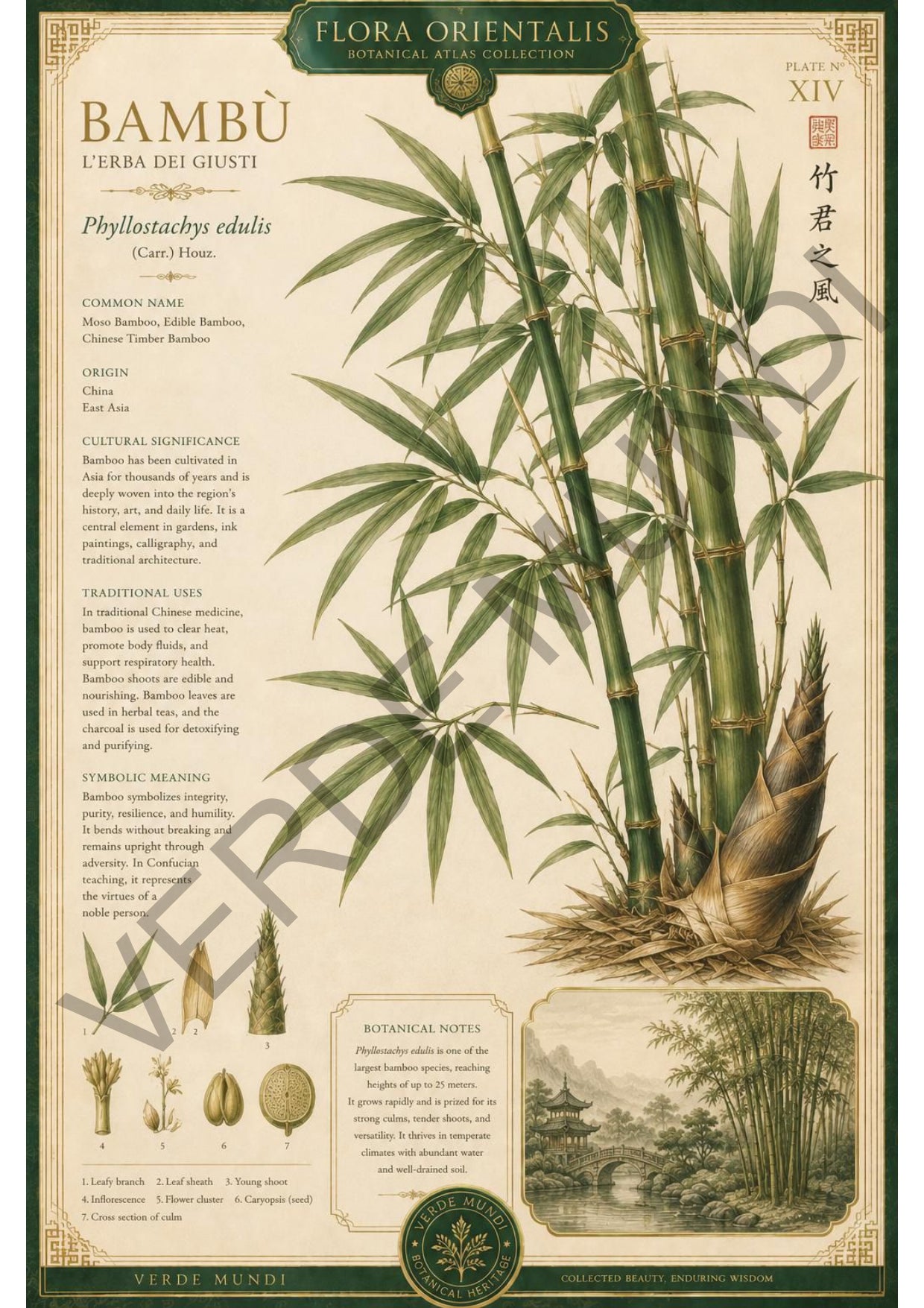 Collezione "Flora orientale"