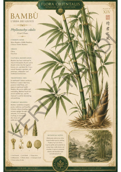 Collezione "Flora orientale"