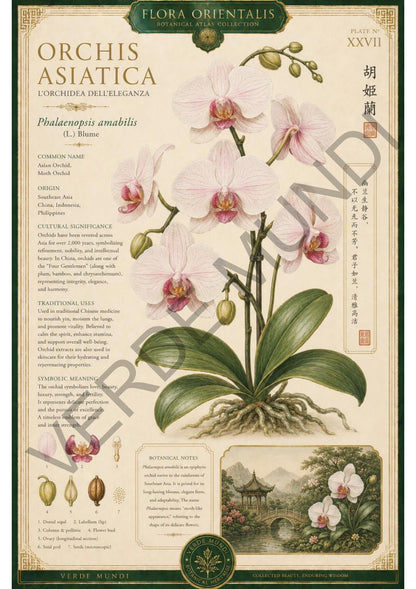 Collezione "Flora orientale"