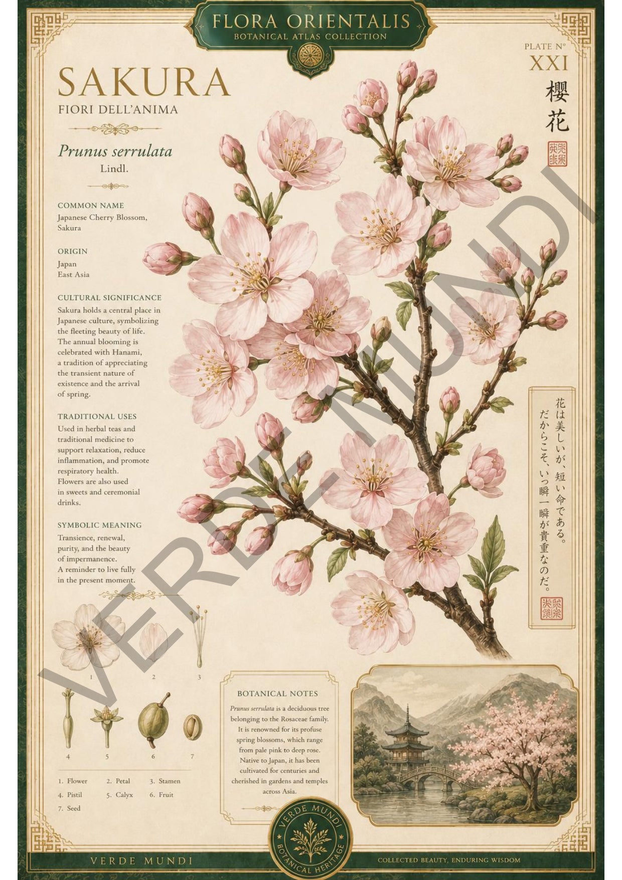 Collezione "Flora orientale"