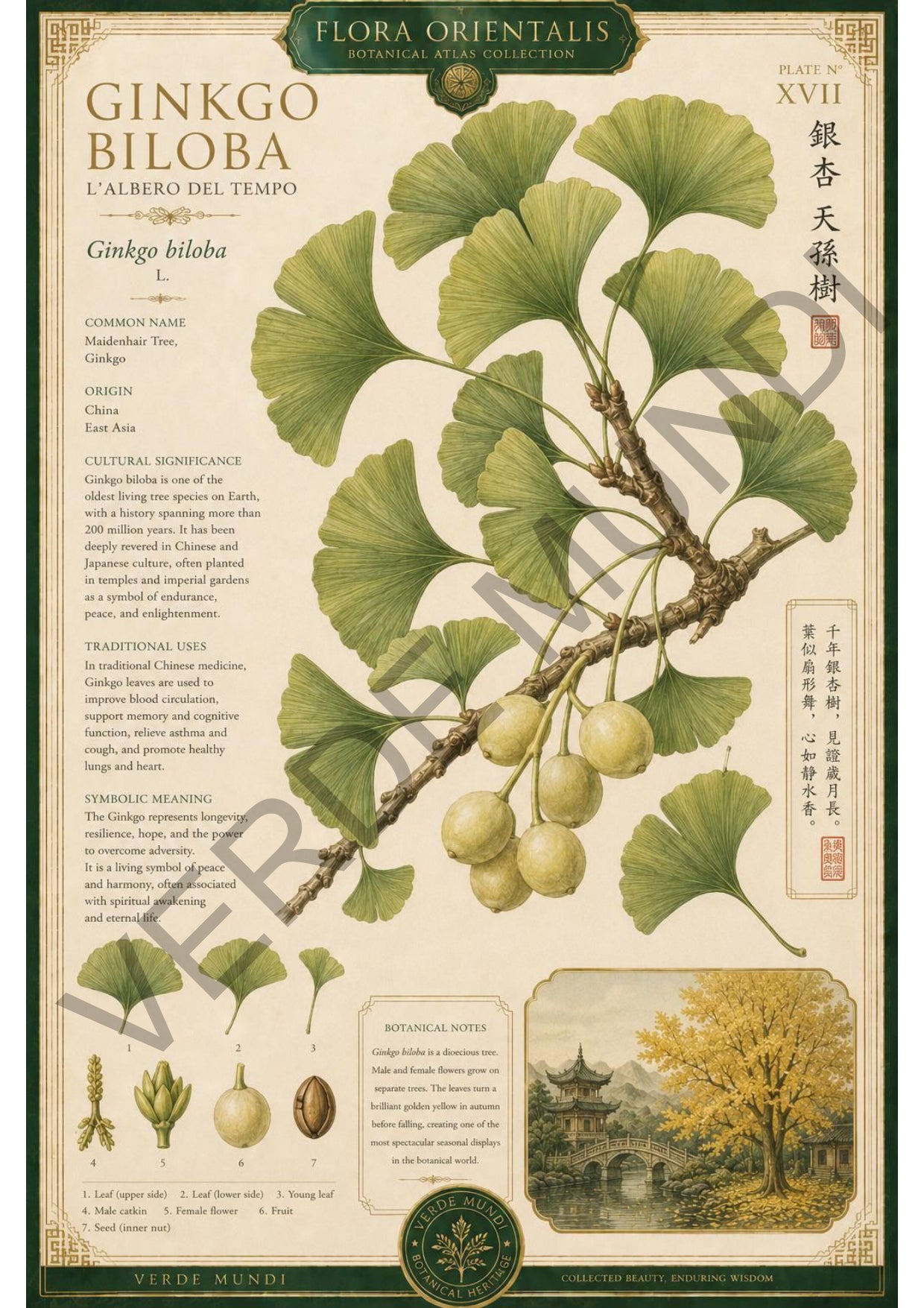 Collezione "Flora orientale"