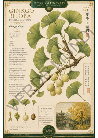 Collezione "Flora orientale"