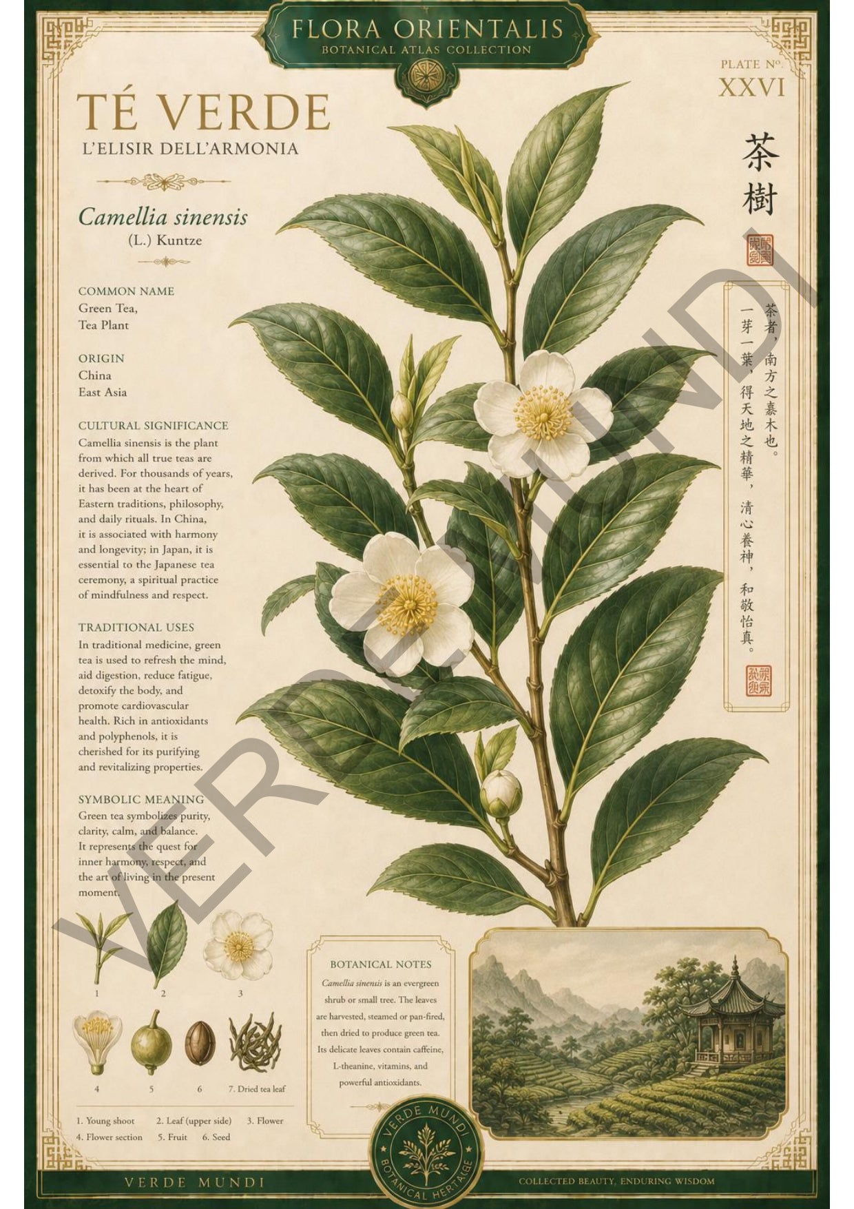 Collezione "Flora orientale"
