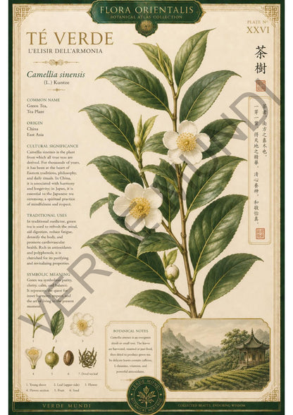 Collezione "Flora orientale"