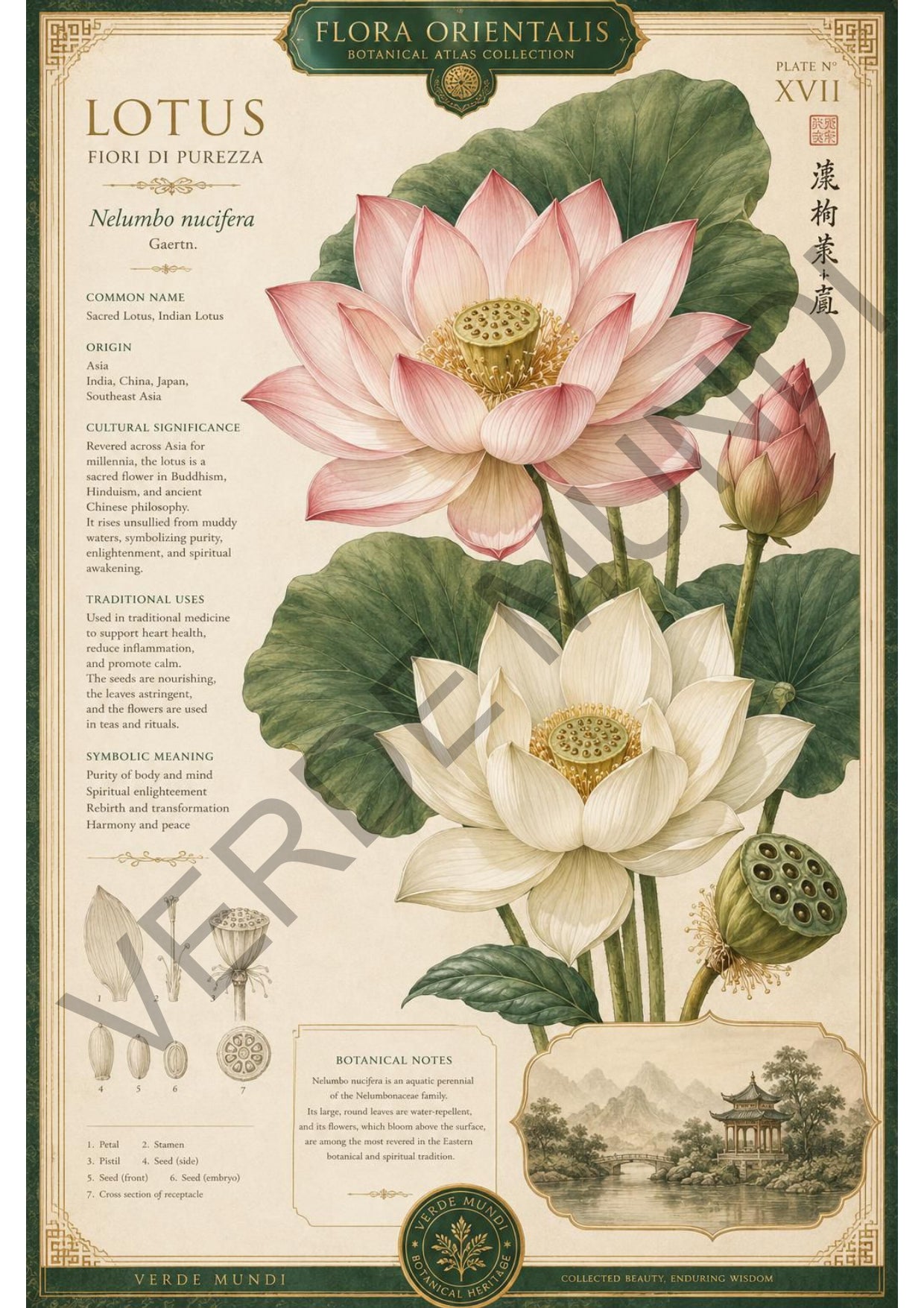Collezione "Flora orientale"