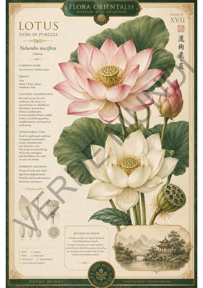 Collezione "Flora orientale"