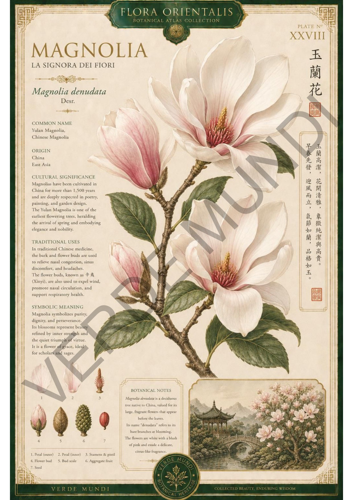Collezione "Flora orientale"