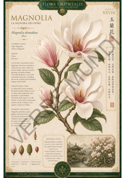 Collezione "Flora orientale"