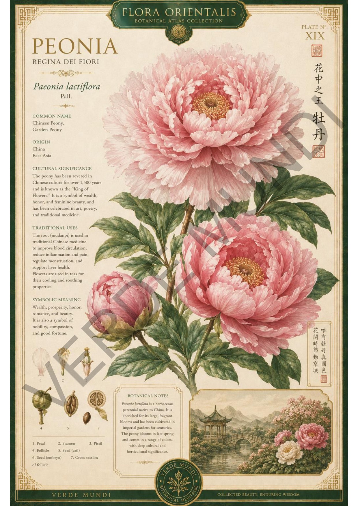Collezione "Flora orientale"