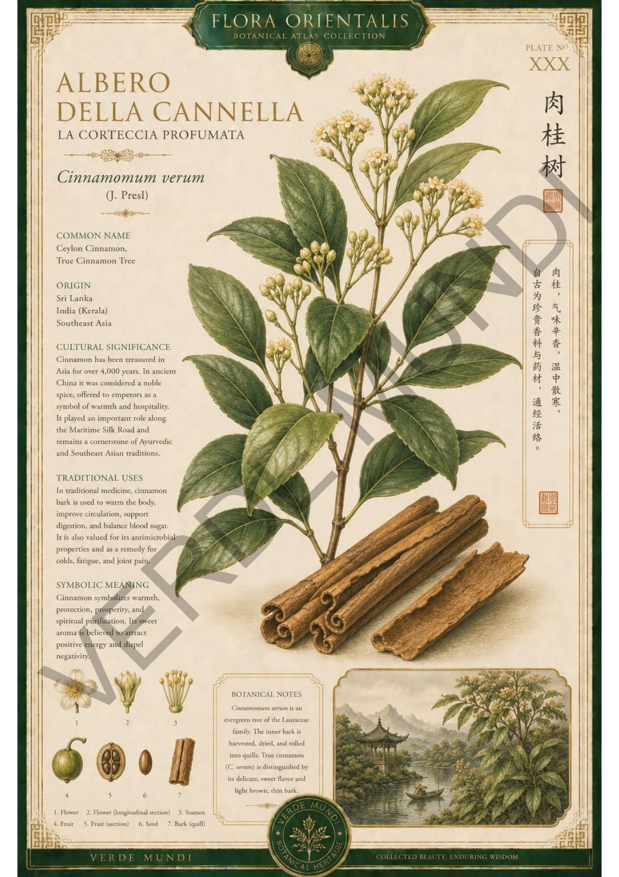 Collezione "Flora orientale"