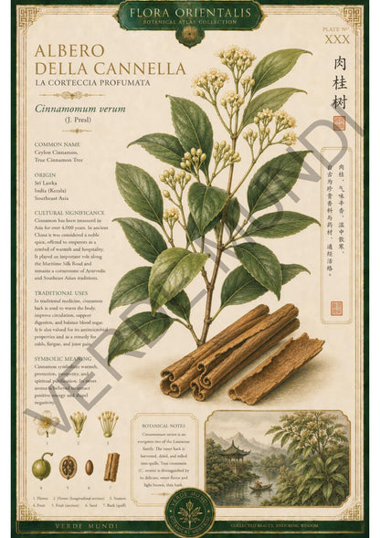 Collezione "Flora orientale"
