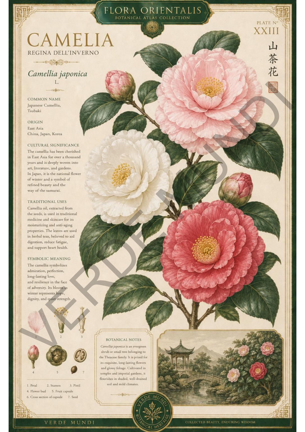 Collezione "Flora orientale"