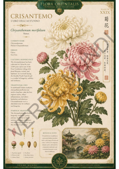 Collezione "Flora orientale"