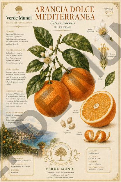 Agrumi del Mediterraneo – Mediterranean Citrus Botanical Atlas | Digital Botanical Prints