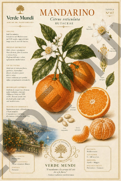 Agrumi del Mediterraneo – Mediterranean Citrus Botanical Atlas | Digital Botanical Prints