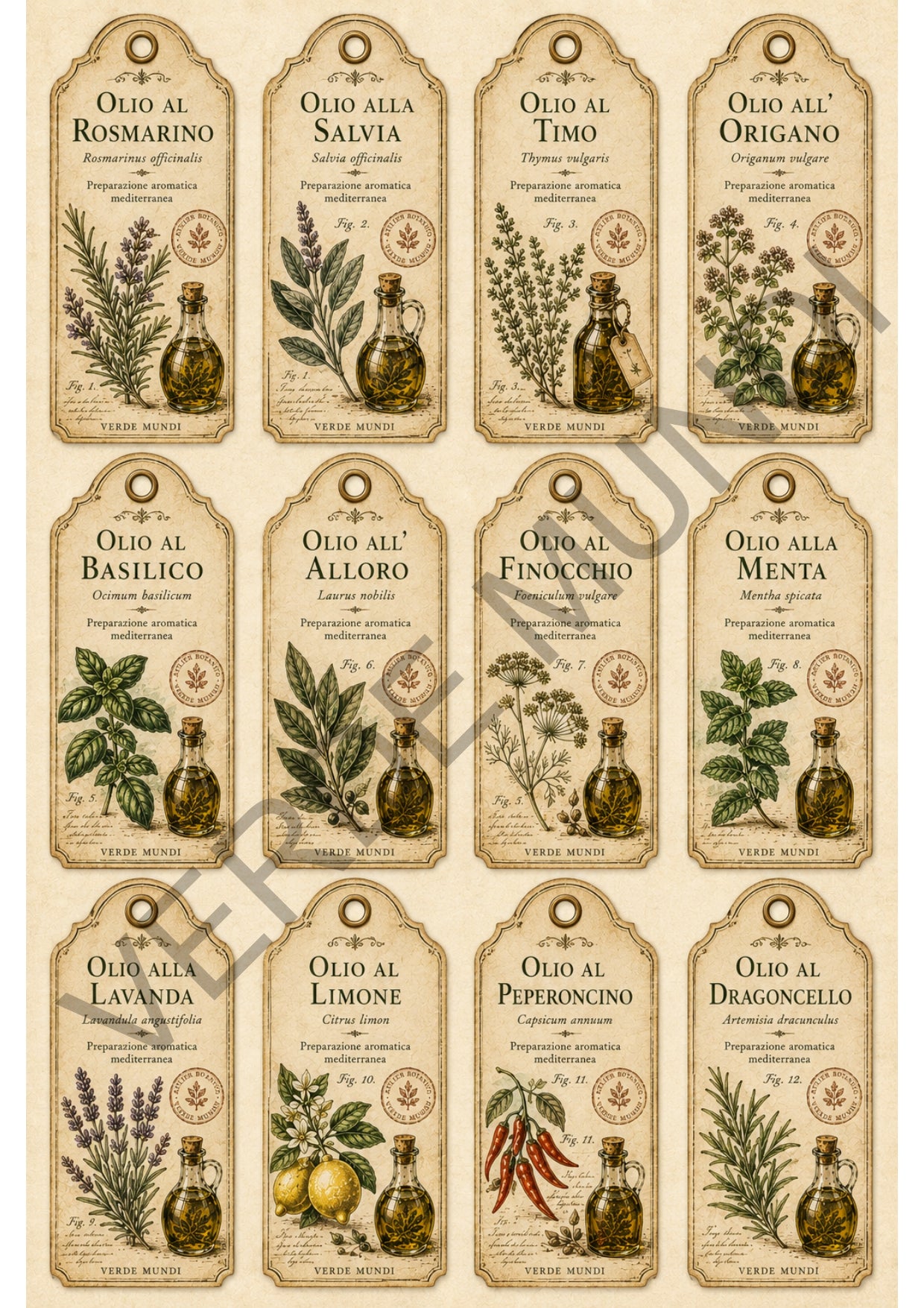 "Raccolta oli botanici mediterranei" vol.1