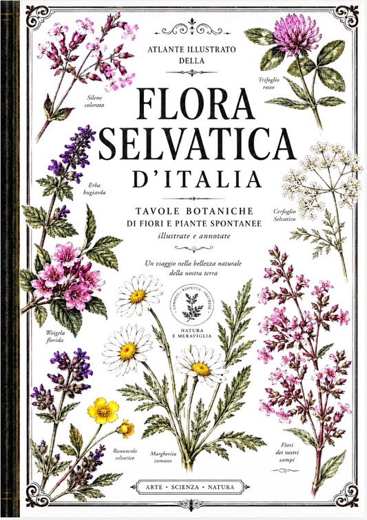 Flora Selvatica d'Italia — Raccolta Botanica Illustrata