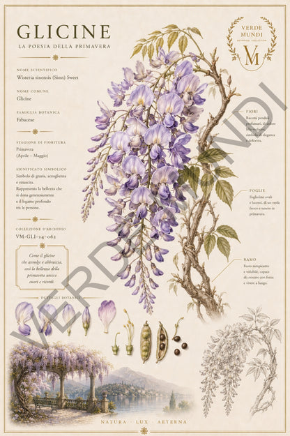 Collezione "Le 4 stagioni, La primavera"