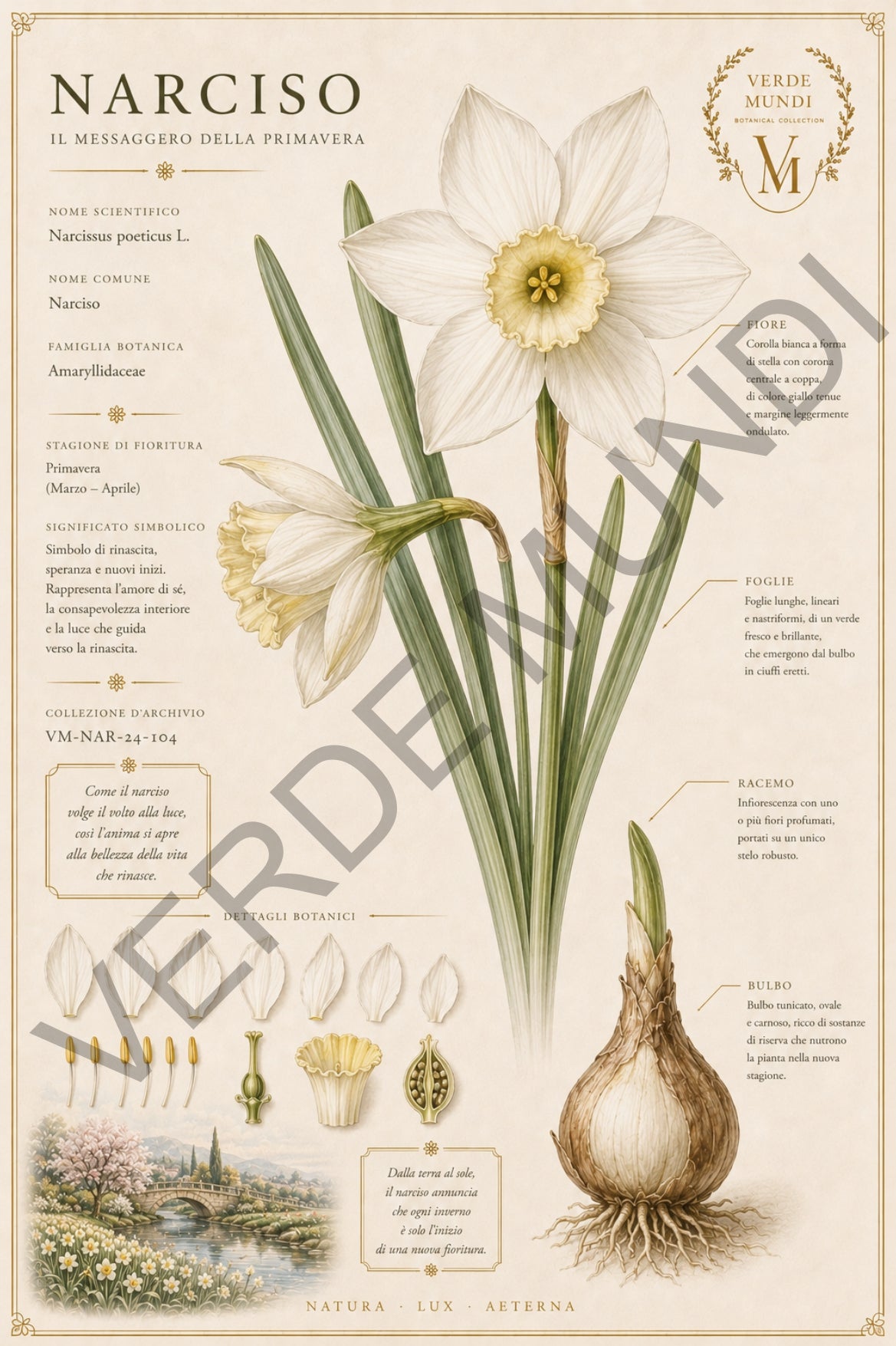 Collezione "Le 4 stagioni, La primavera"