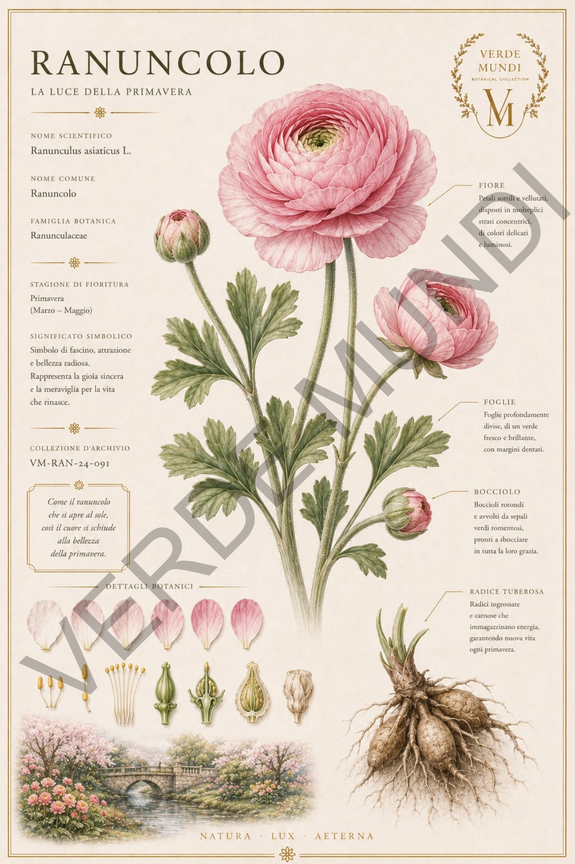 Collezione "Le 4 stagioni, La primavera"