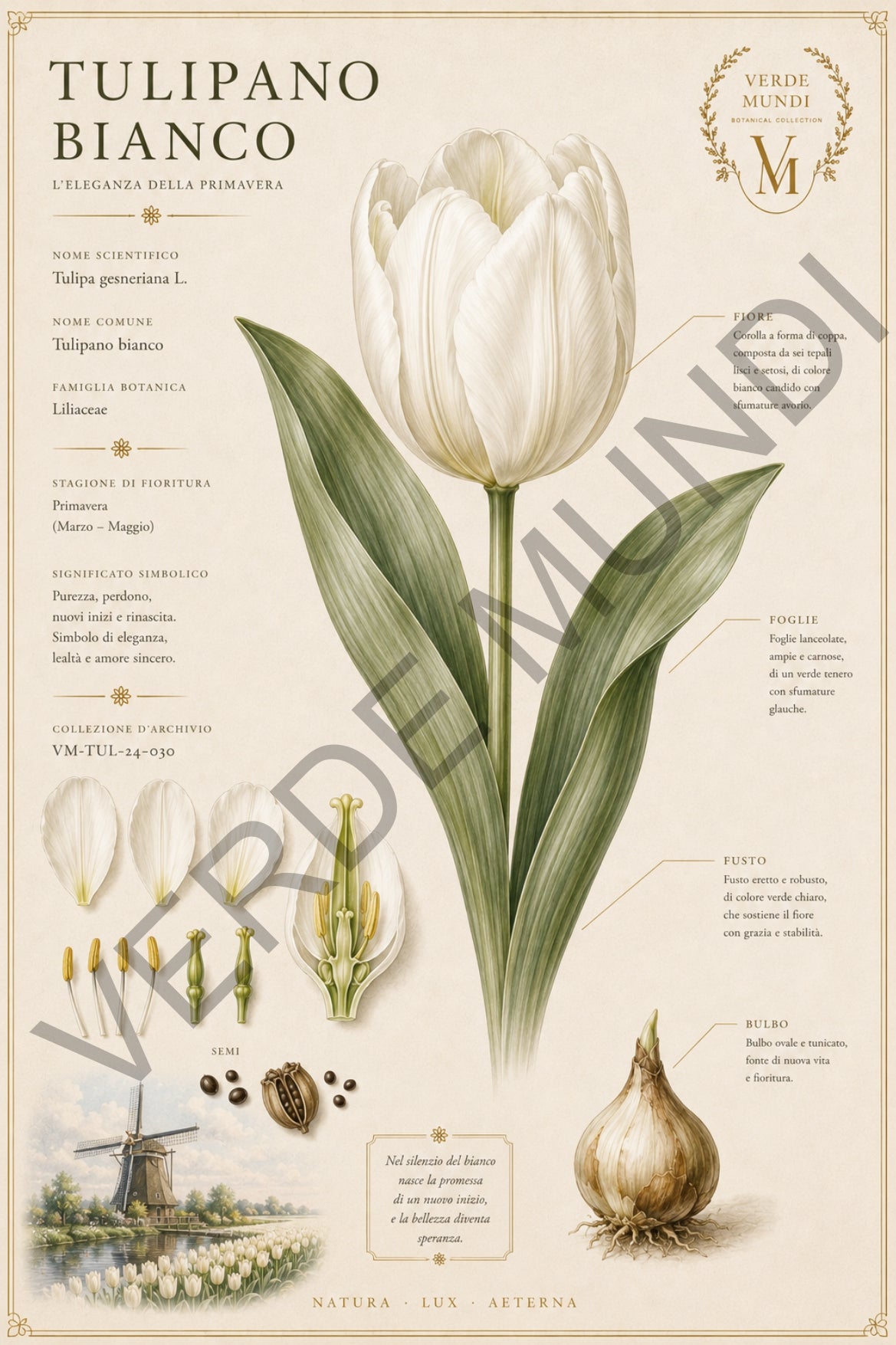 Collezione "Le 4 stagioni, La primavera"