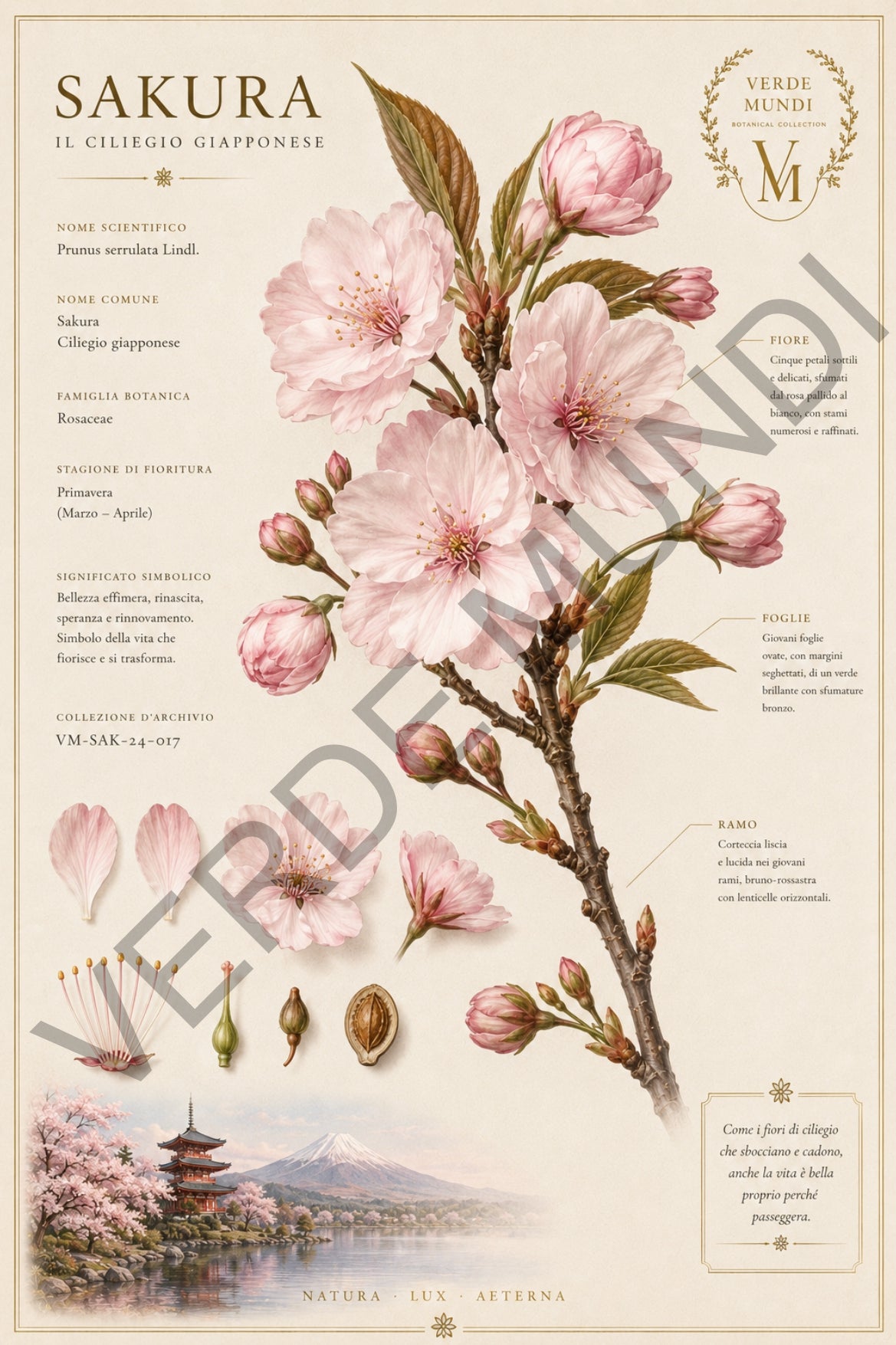 Collezione "Le 4 stagioni, La primavera"