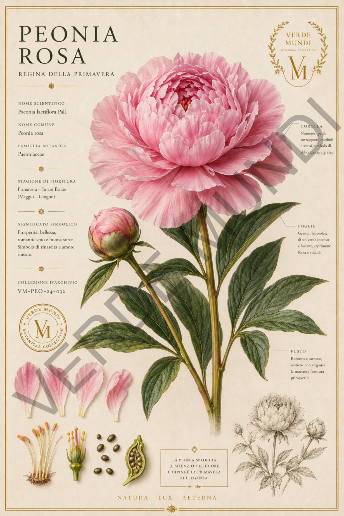 Collezione "Le 4 stagioni, La primavera"
