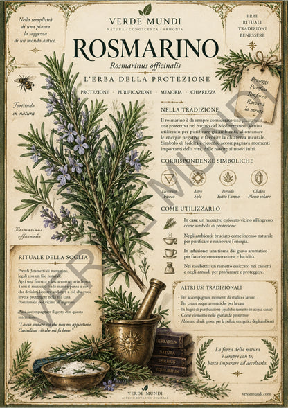 L’Erbario Segreto — 12 Erbe, Simboli e Rituali Botanici