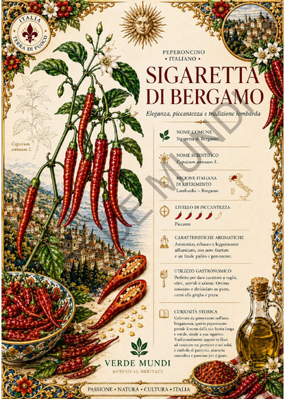 Fuoco Italiano – Atlante Botanico dei Peperoncini Italiani