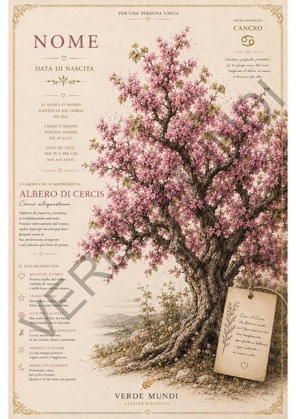 Collezione "Buon Compleanno" vol. 1 (albero)